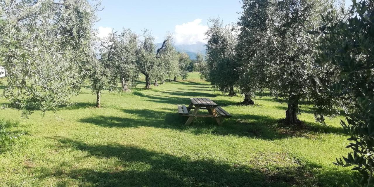 Agriturismo Fioralba Polpenazze del Garda Eksteriør billede