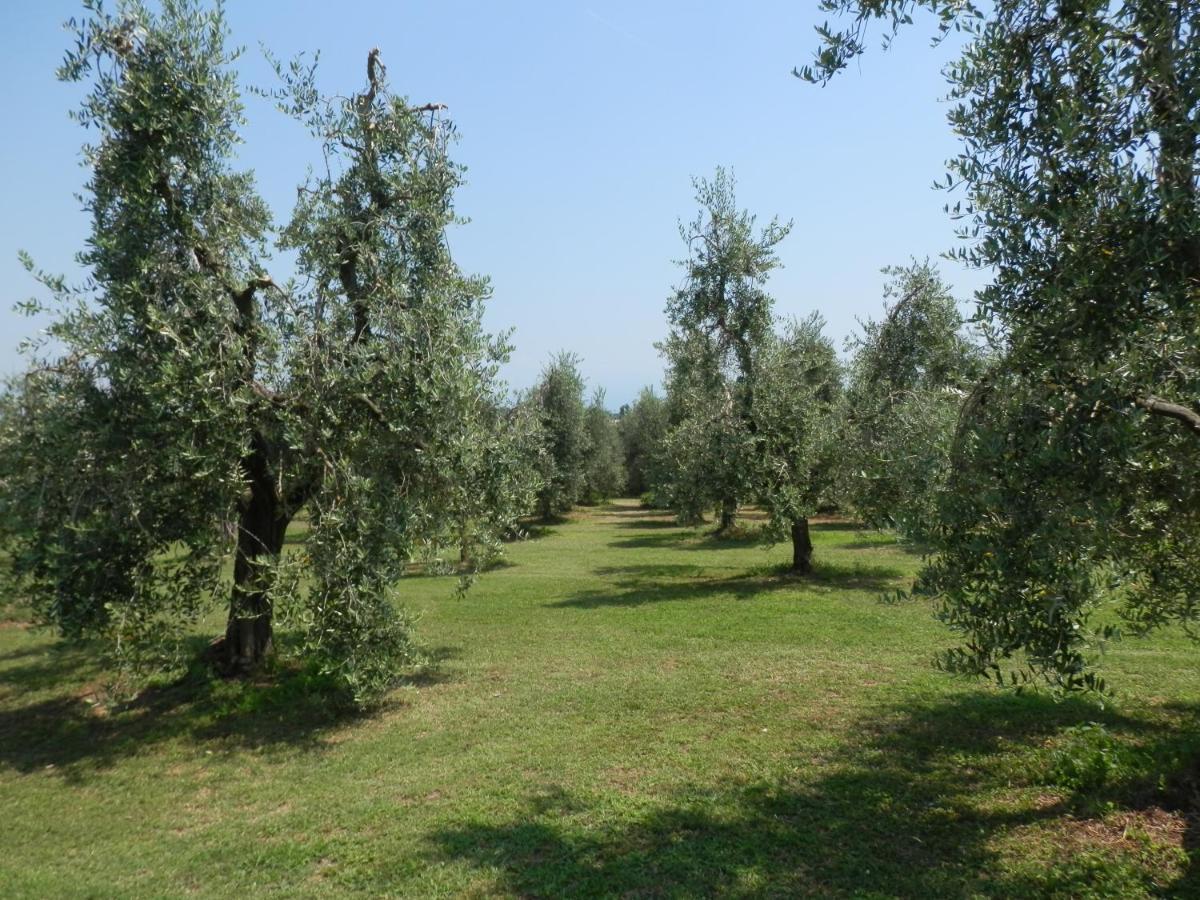 Agriturismo Fioralba Polpenazze del Garda Eksteriør billede