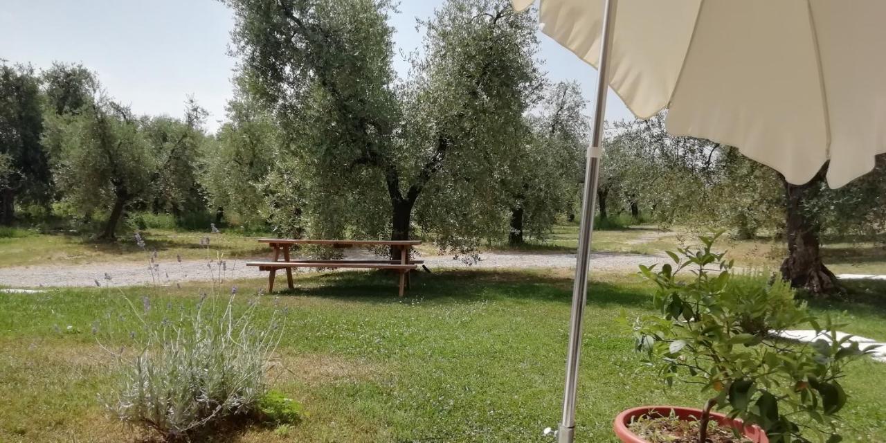 Agriturismo Fioralba Polpenazze del Garda Eksteriør billede