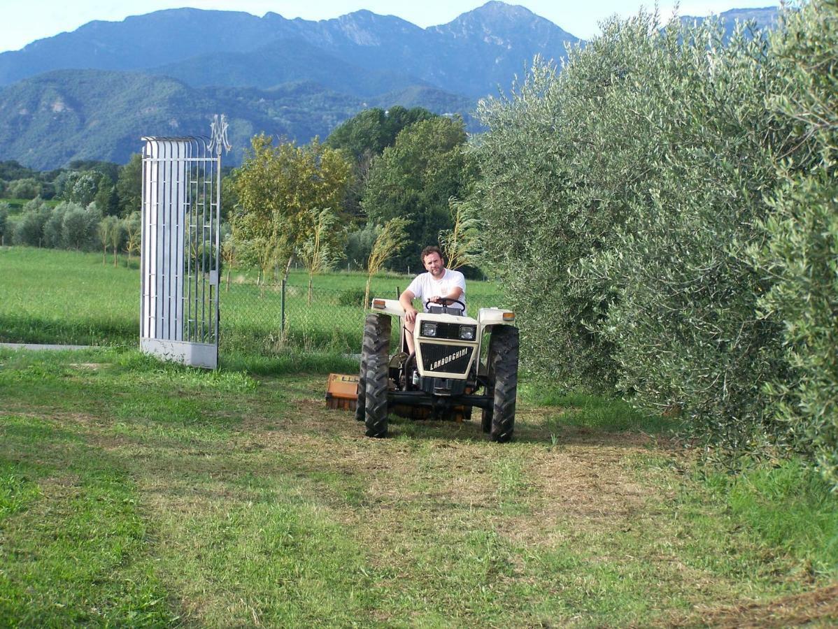 Agriturismo Fioralba Polpenazze del Garda Eksteriør billede