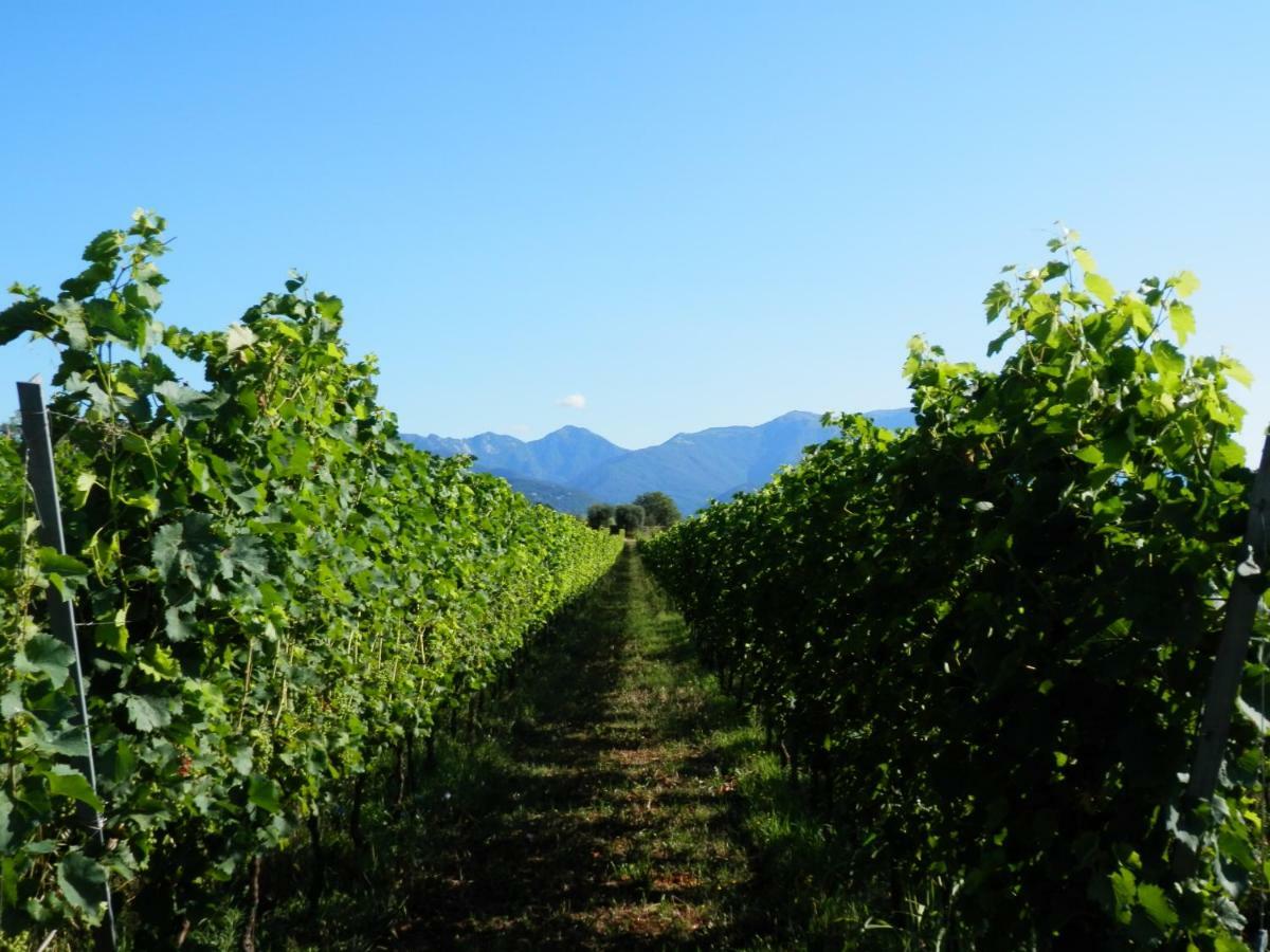 Agriturismo Fioralba Polpenazze del Garda Eksteriør billede